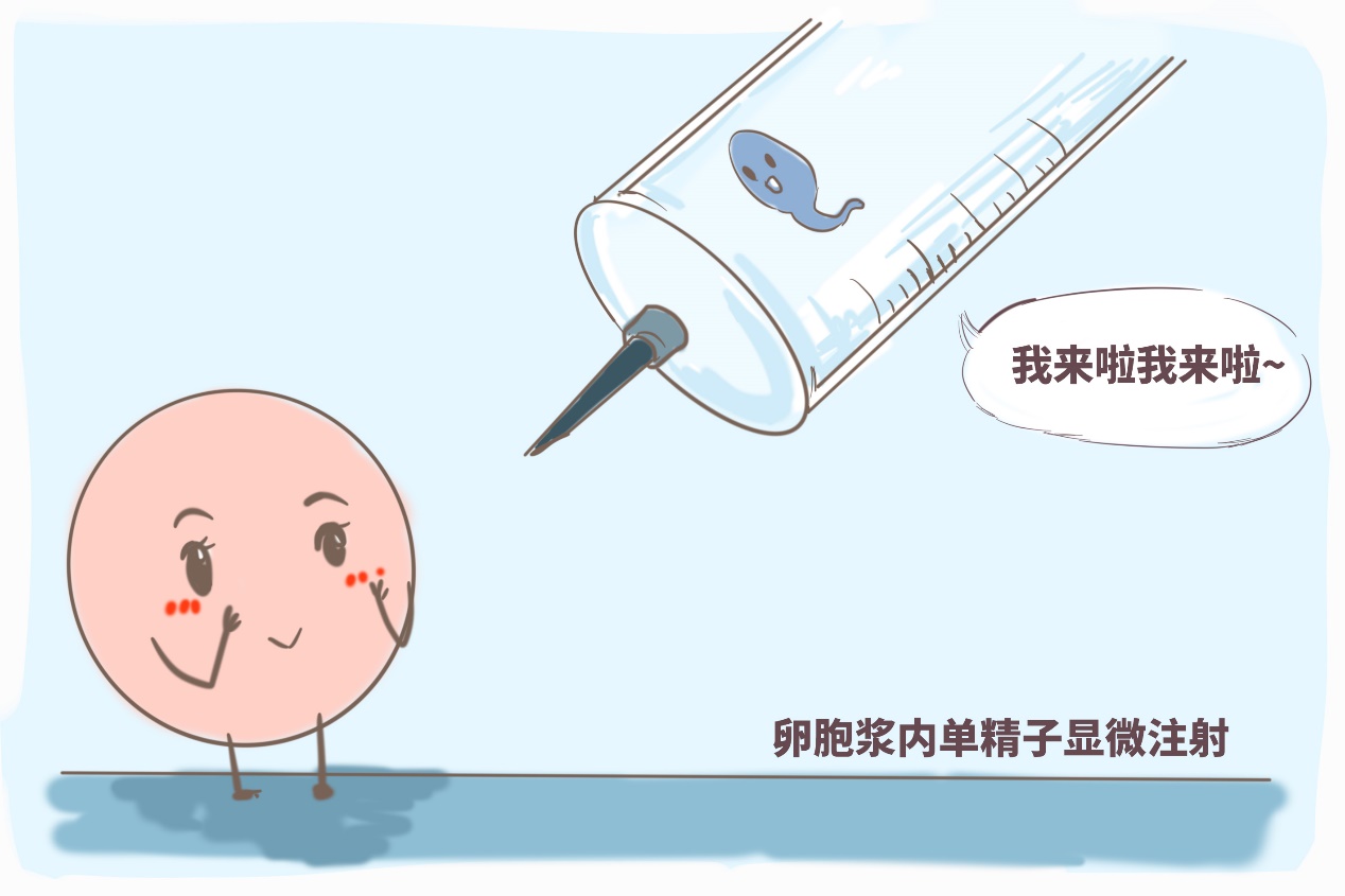备孕期间