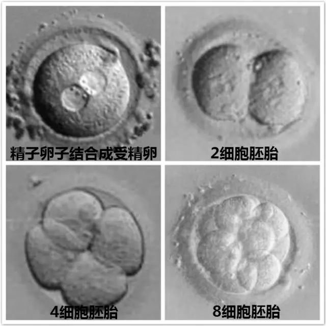 夏天太热感冒了