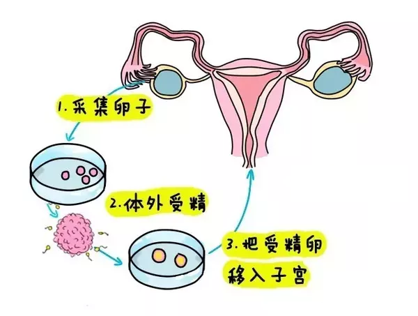 大卫早早孕试纸