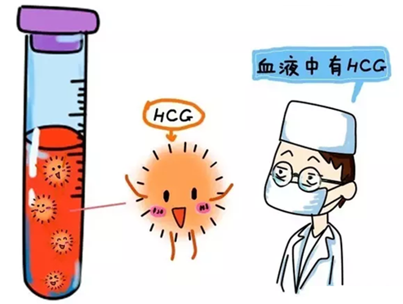 怀孕