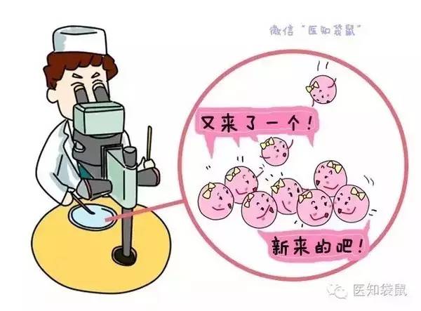 女人结扎