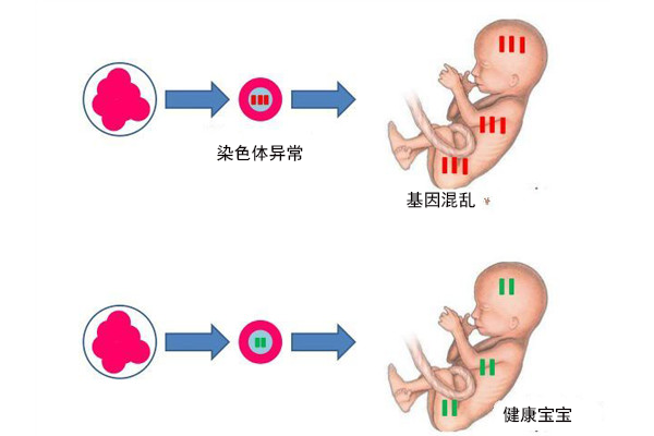 怀孕时间对照表